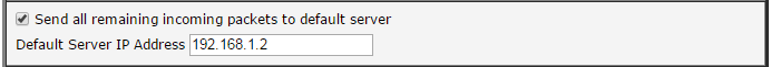 The Default Server Option in the NAT Configuration (for IPv4)