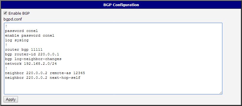 Configuration of bgpd Daemon 1