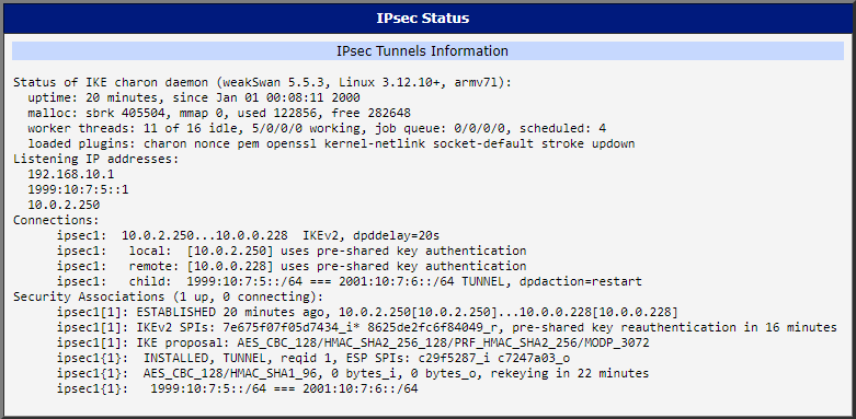 IPsec Status of the Initiator