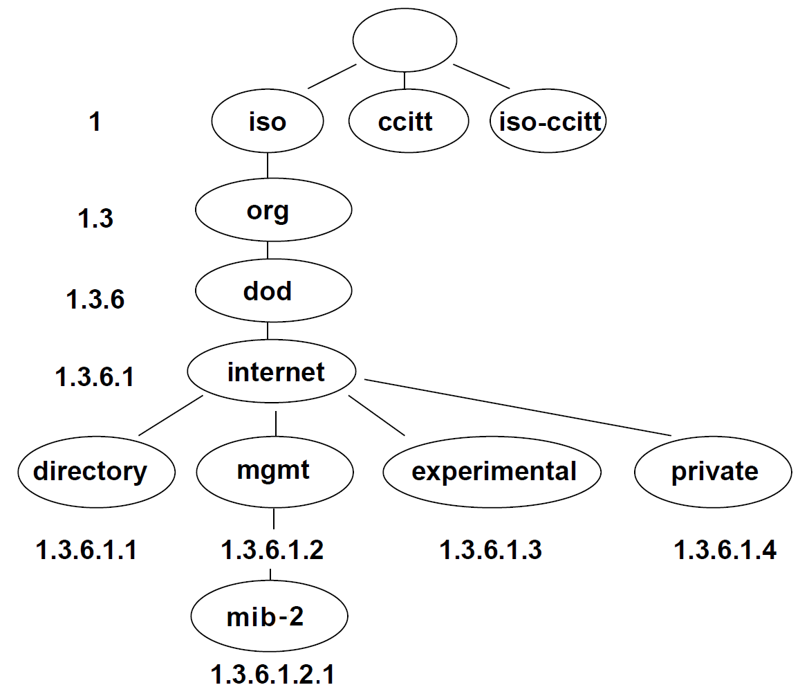 Basic Structure
