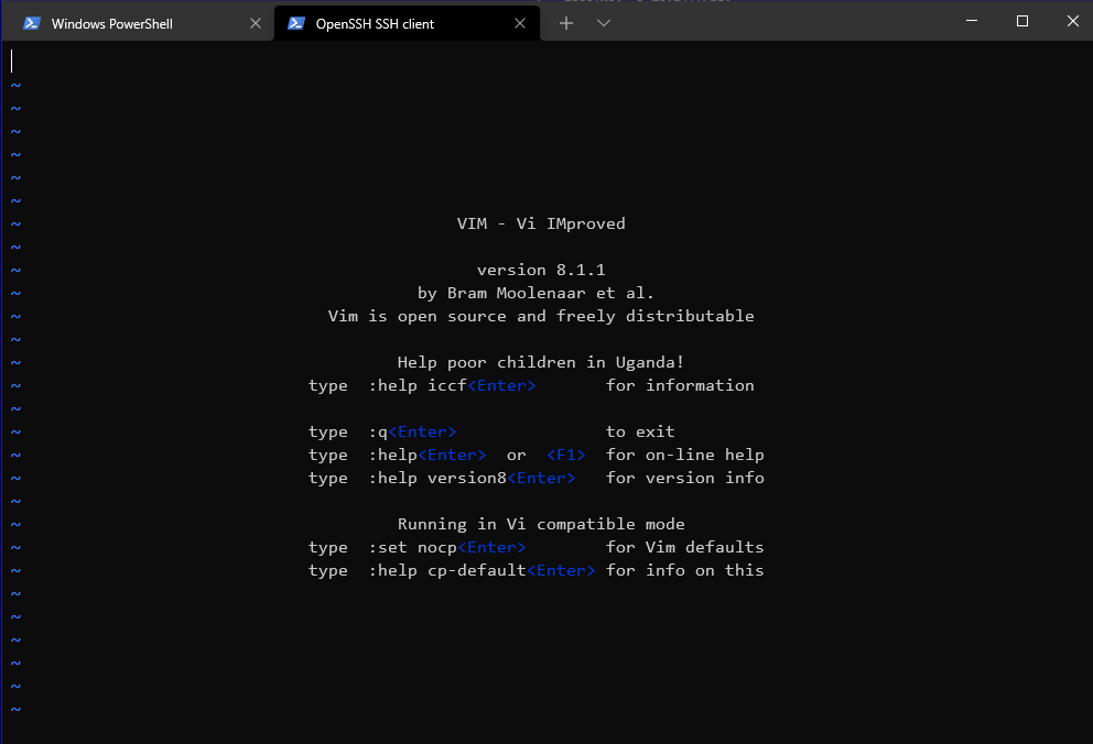 Vim in command line