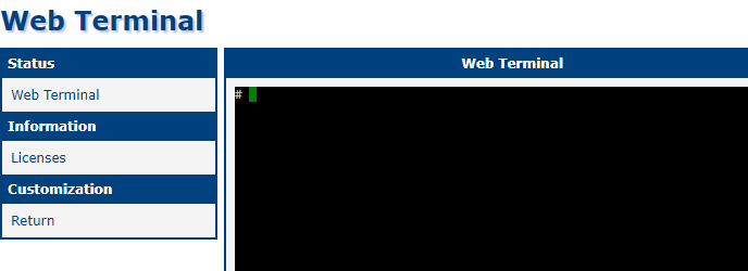 Web Terminal