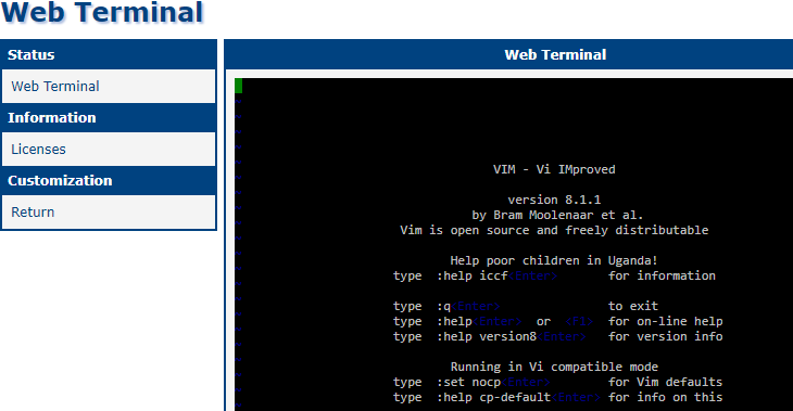 Vim in Web Terminal