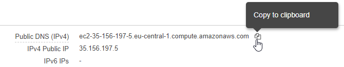 Instance description
